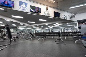 A spacious gym's member benefits includes access to free weights and diverse fitness equipment for various workout routines.